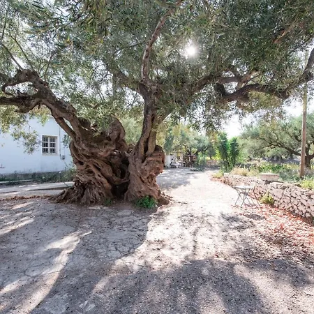 Casa Di Vitalo Kampi (Zakynthos)